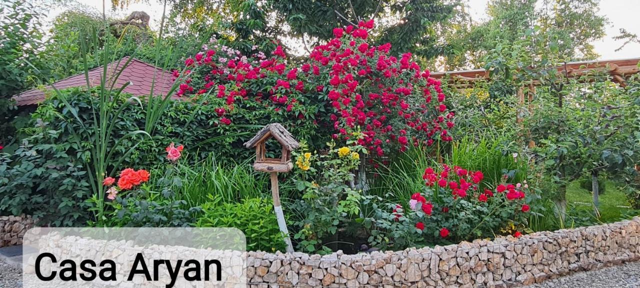 Casa Aryan Apartment Sanpetru ภายนอก รูปภาพ