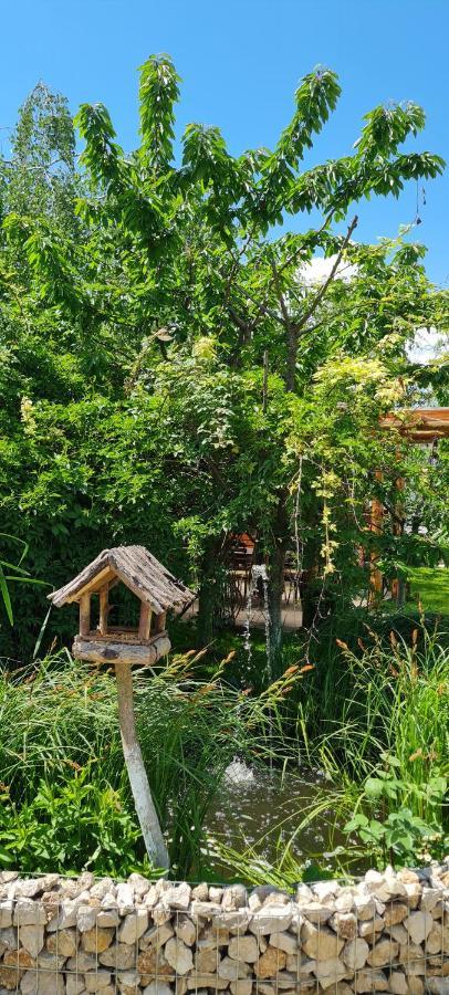 Casa Aryan Apartment Sanpetru ภายนอก รูปภาพ