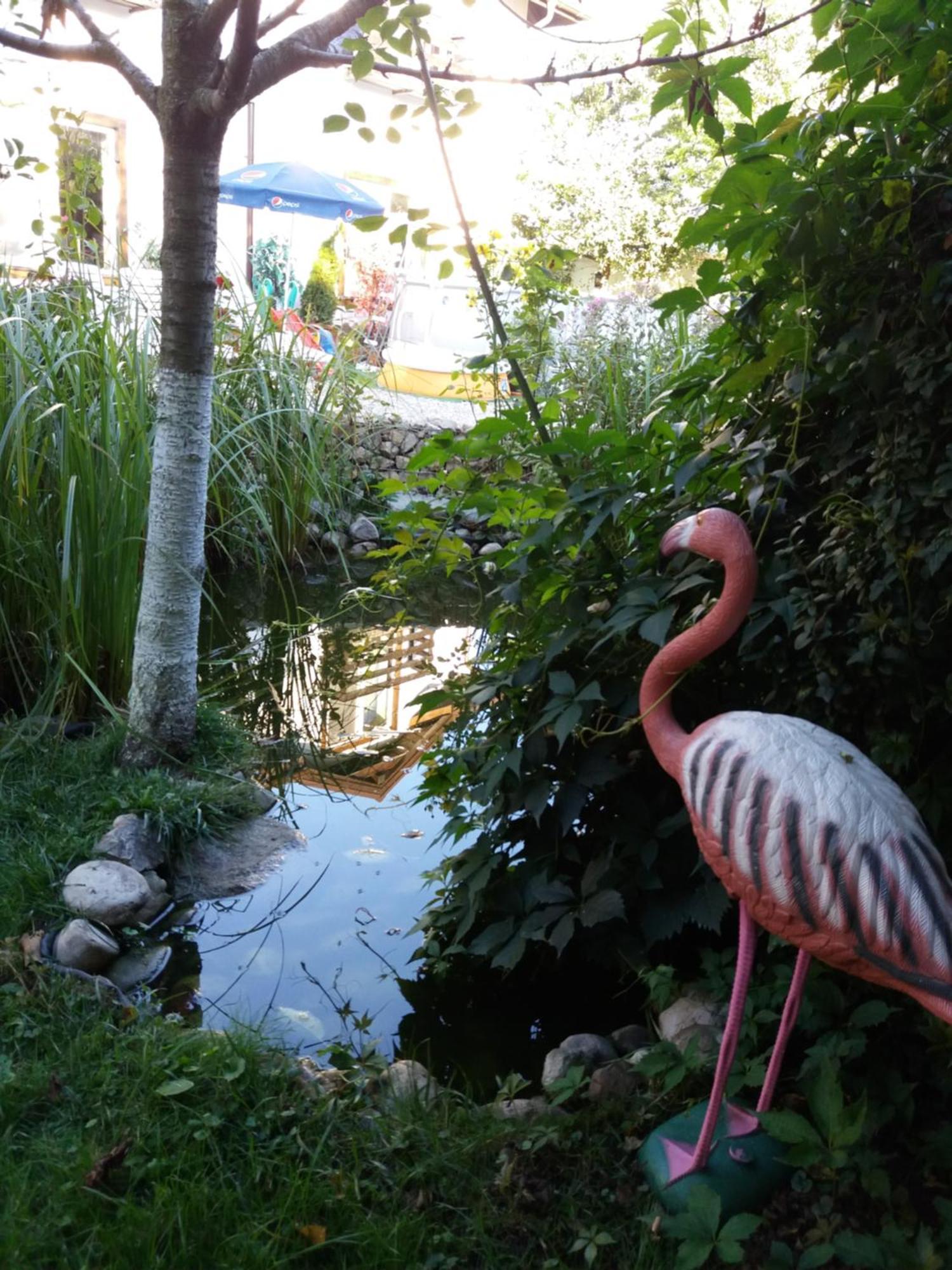 Casa Aryan Apartment Sanpetru ภายนอก รูปภาพ